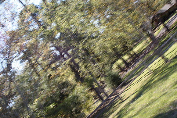 IMG_0442